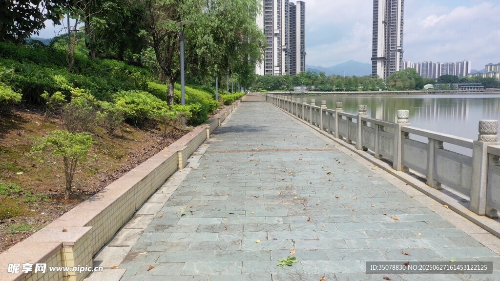 河边林荫步道风景
