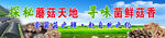 蘑菇大棚