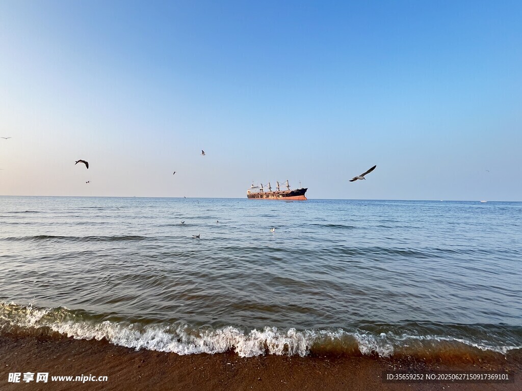 海边美景 船只海鸥共舞