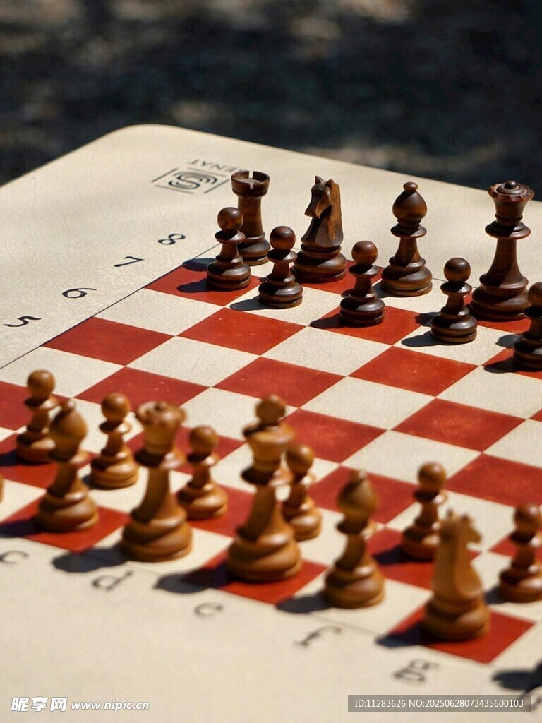 棋盘上的国际象棋对决