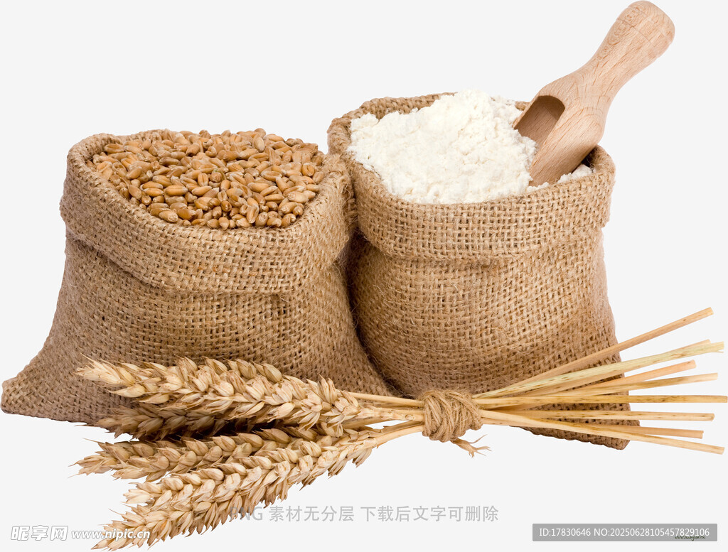 麦类谷物与面粉展示