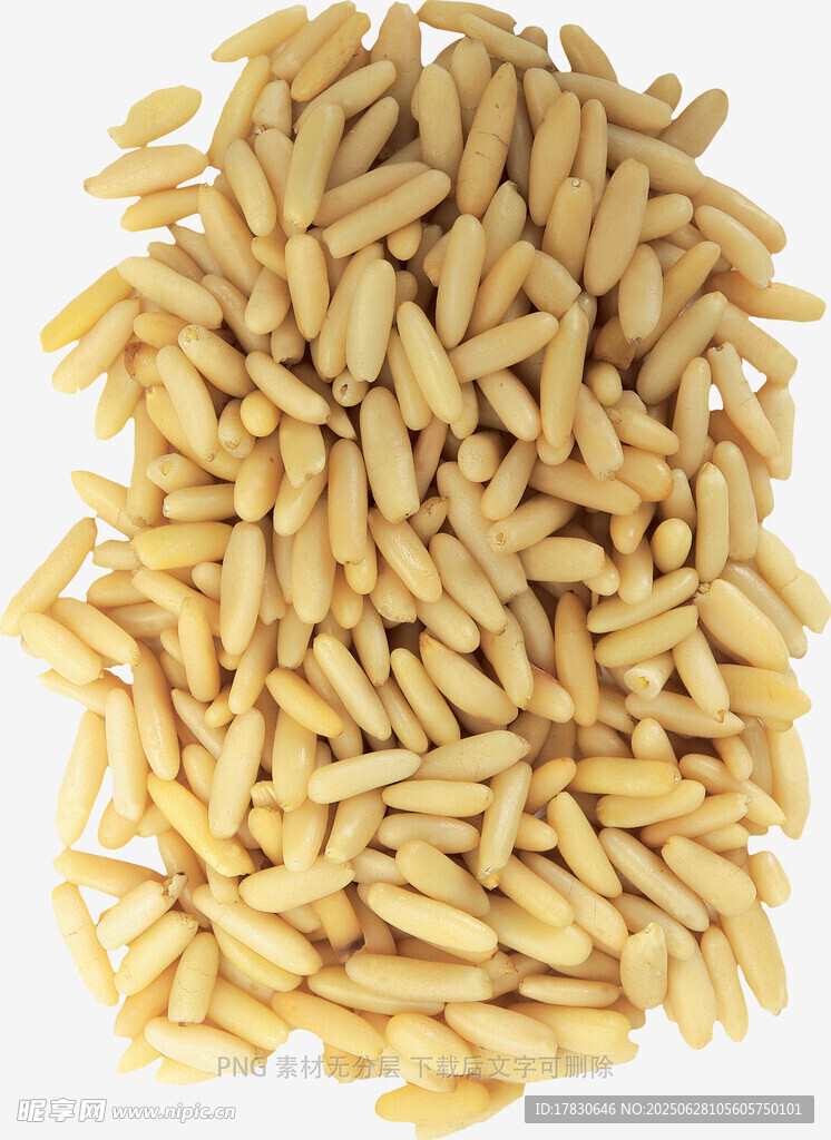 金黄燕麦粒特写