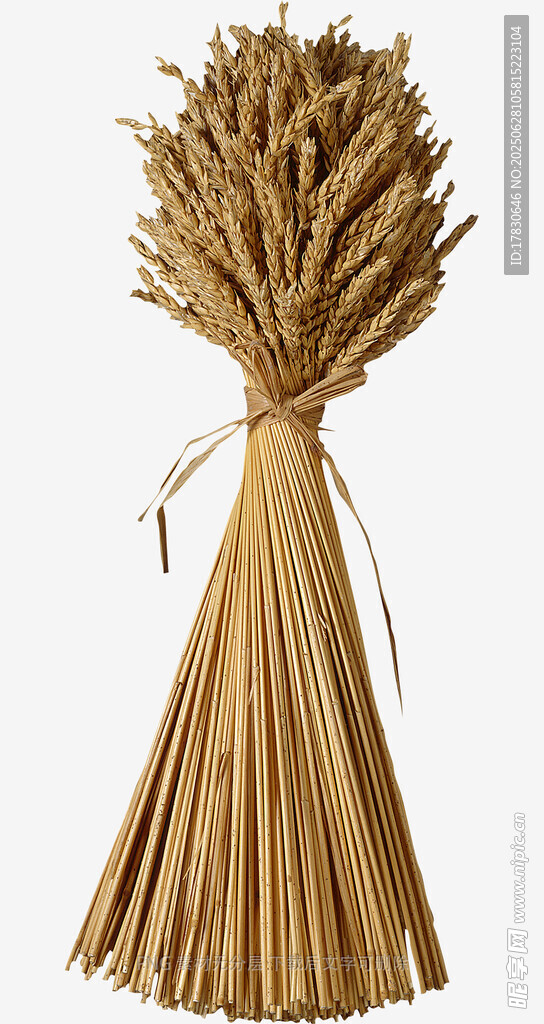 一束金黄麦秆