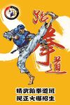 激情跆拳道表演