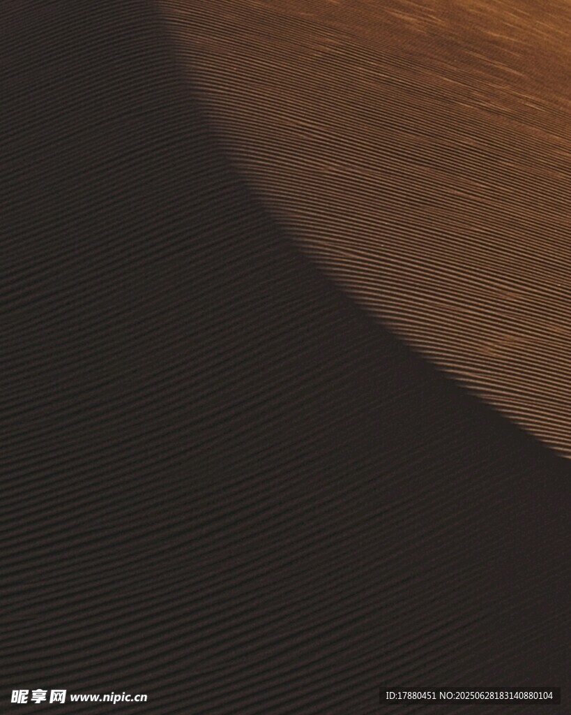 沙漠
