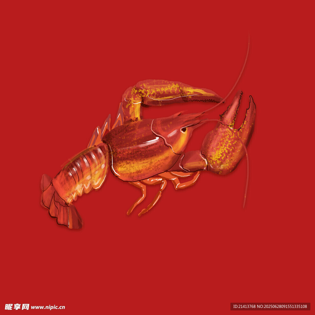 红色背景上的美味大龙虾