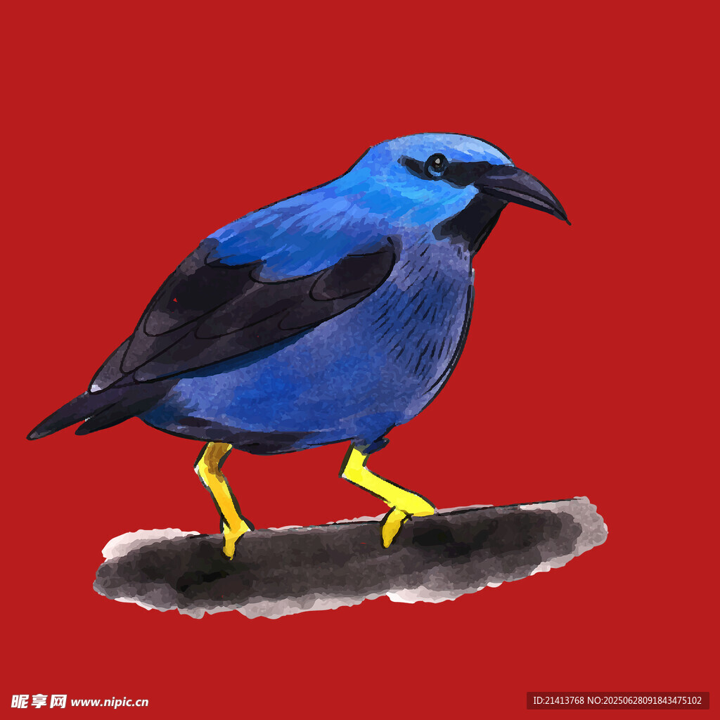 蓝色小鸟水彩画