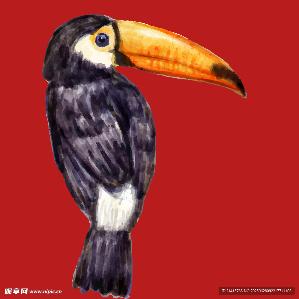 巨嘴鸟水彩画  色彩鲜明