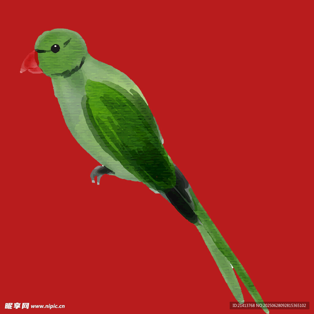 绿色长尾鹦鹉特写