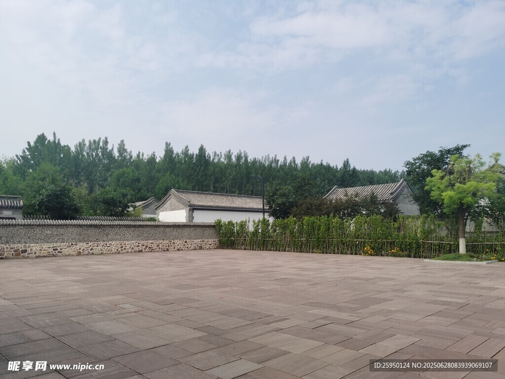 空旷户外场地与远处树林