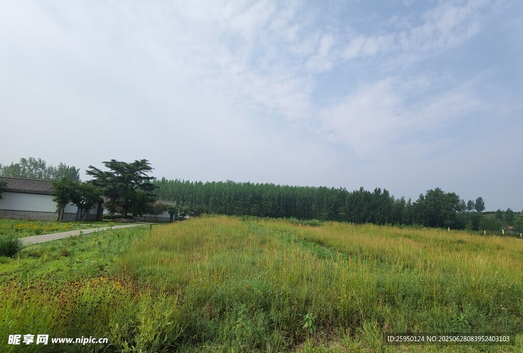 田野风光绿意盎然的景致