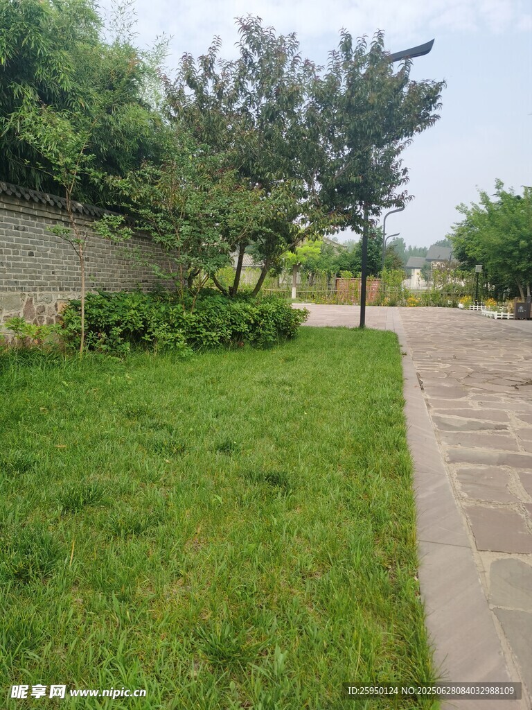 户外绿意盎然的小径场景