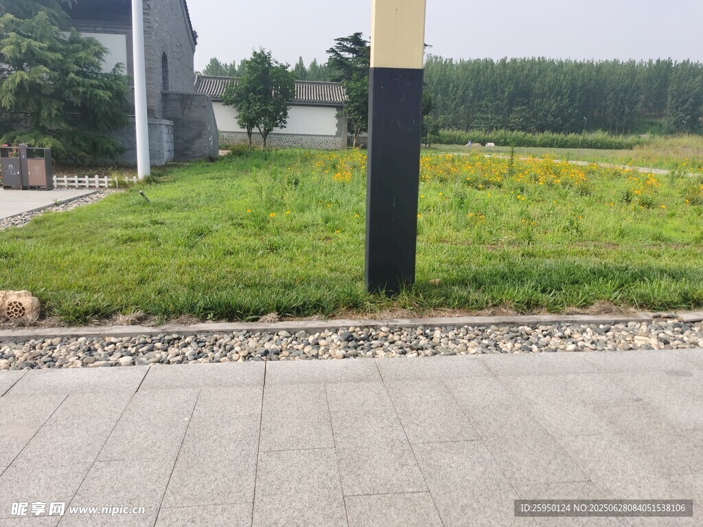 户外草地旁的建筑景观