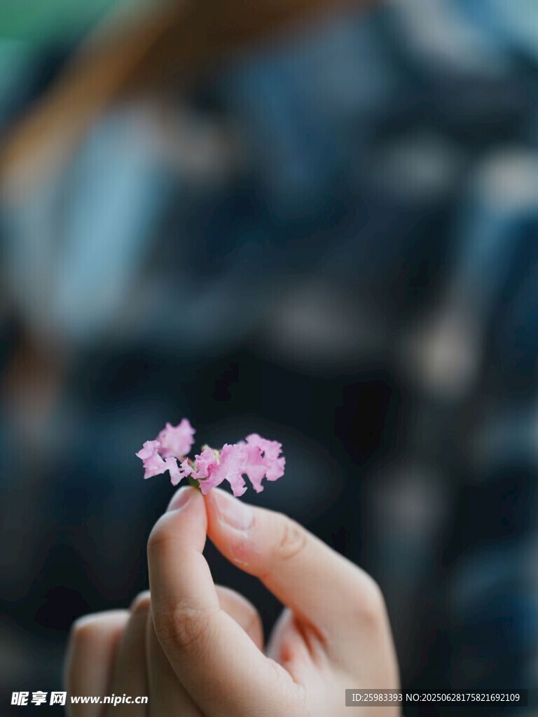 手托小花