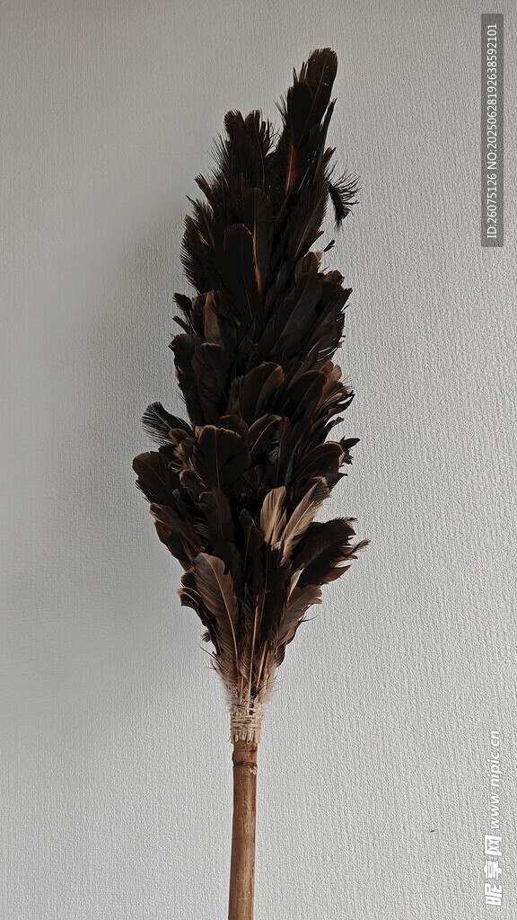 鸡毛掸子