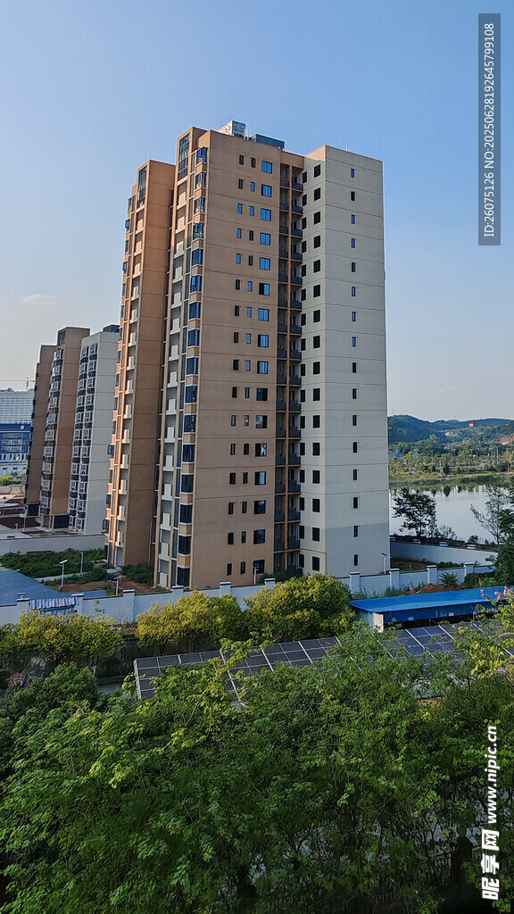 城市高楼与绿植景观