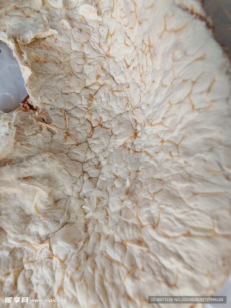 纹理独特的内果皮特写