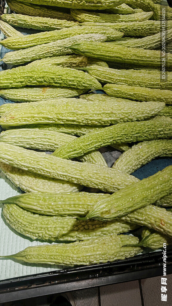 新鲜苦瓜整齐摆放