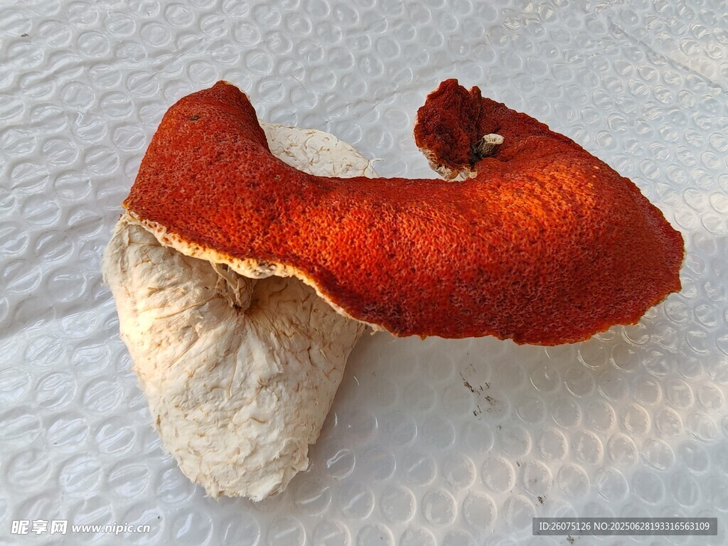 鲜红陈皮特写