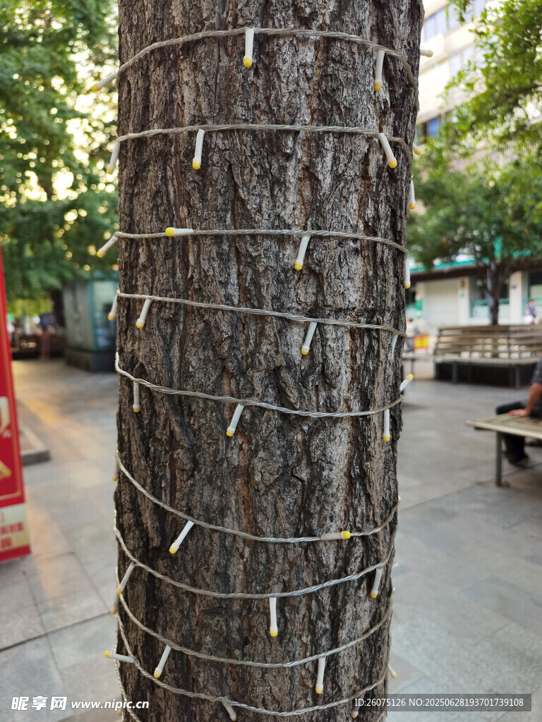 树干缠绕串灯