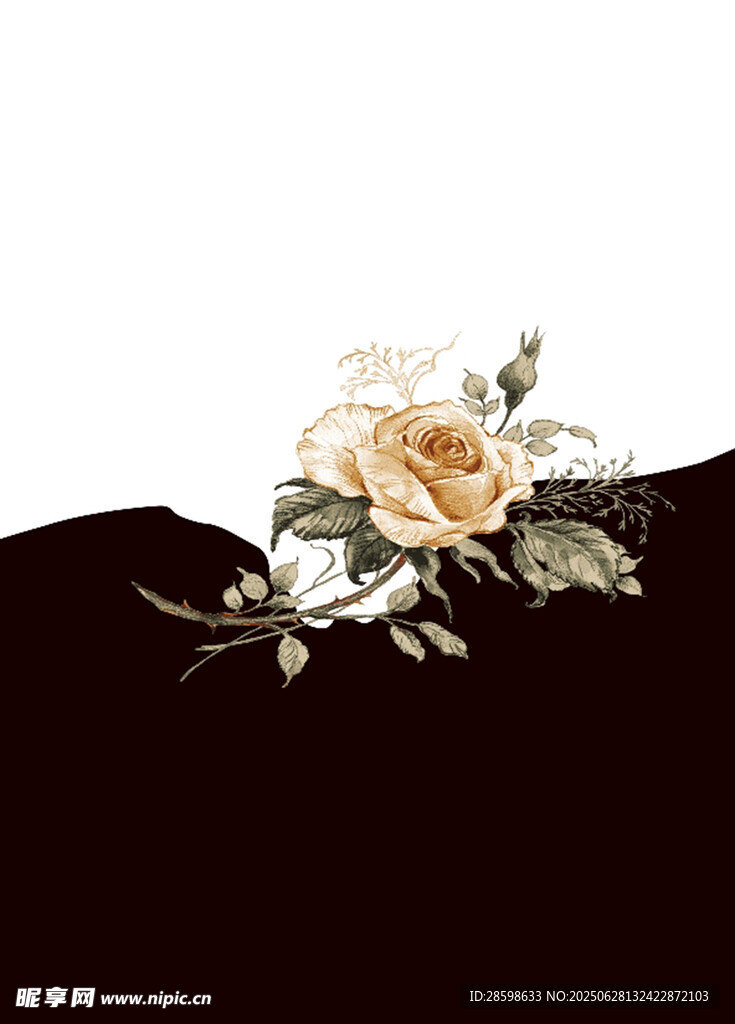 花卉
