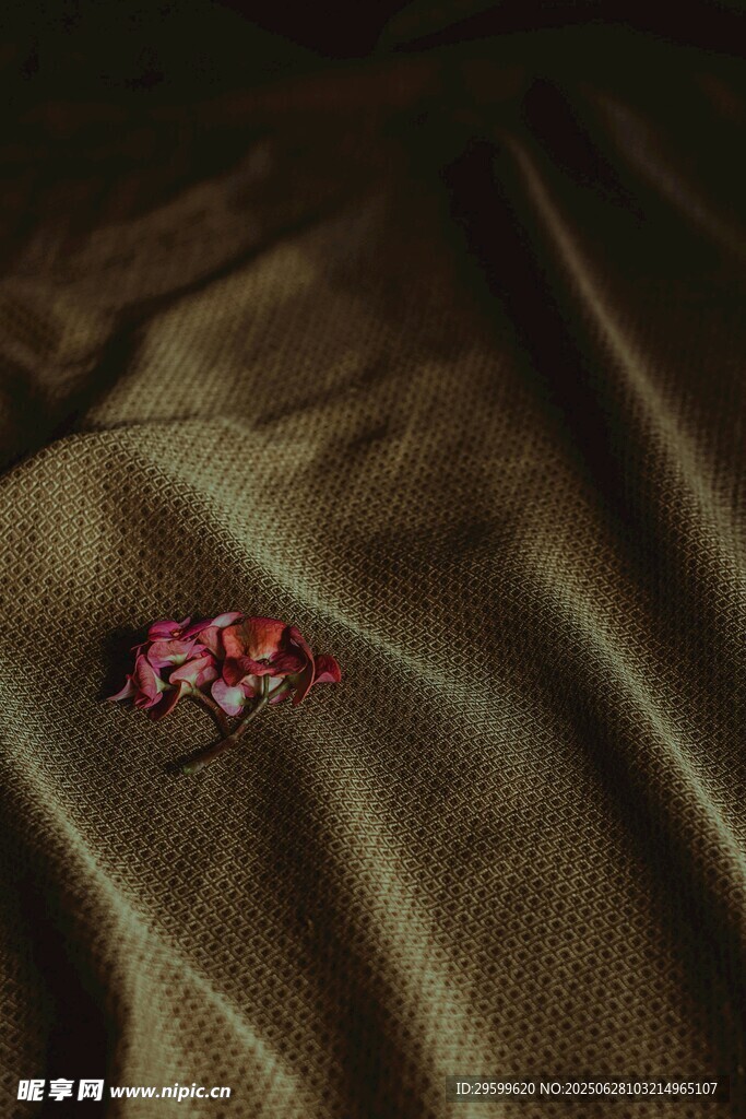 棕色布料上的红色花瓣