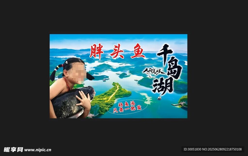 胖头鱼 千岛湖