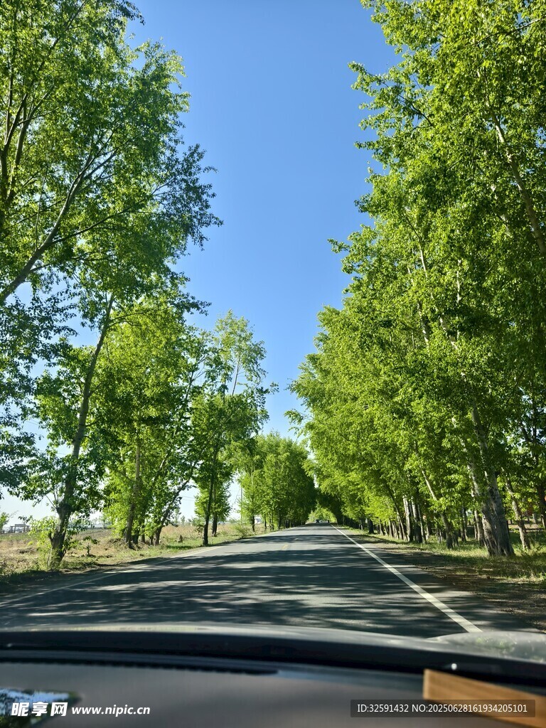 林间小路 内蒙古莫力达瓦