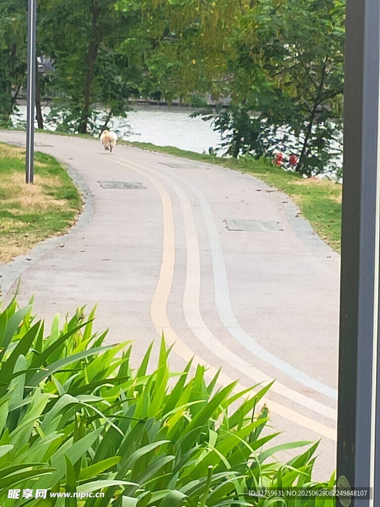 林间蜿蜒小路绿意盎然