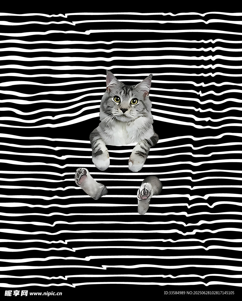 条纹布中探身的可爱猫咪