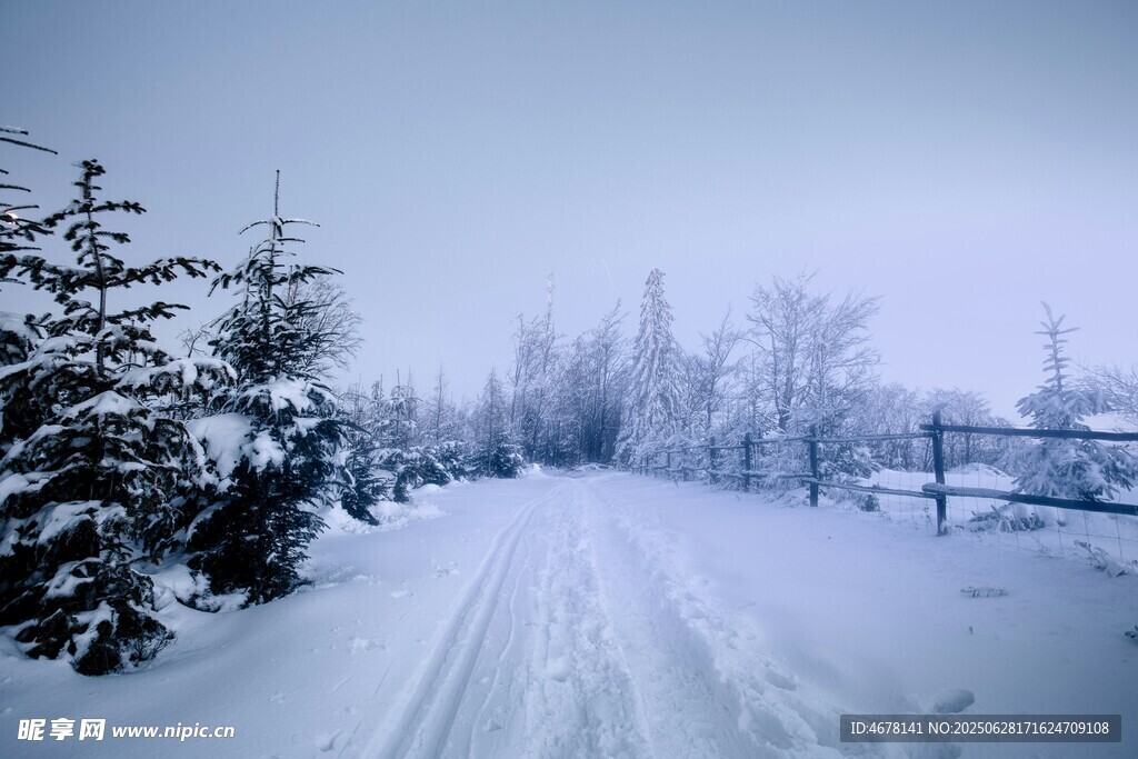 冬日雪路静谧雪景