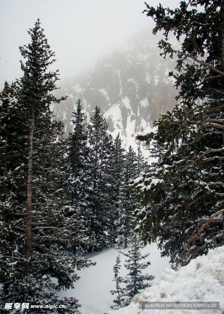 雪覆山林的冬日美景