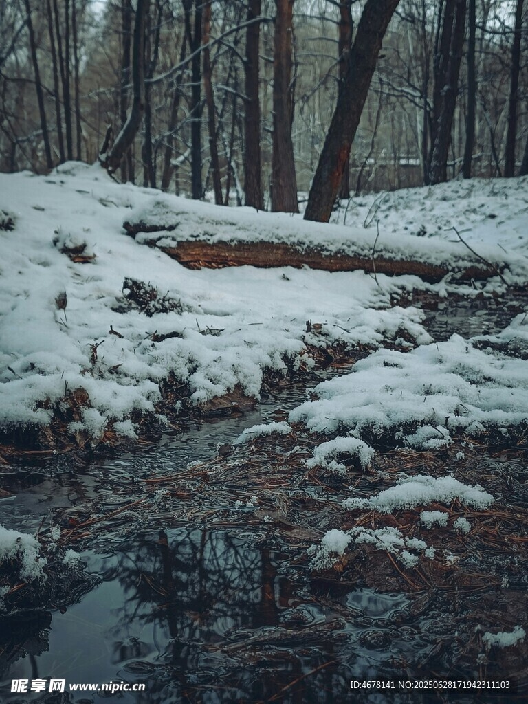 冬日雪覆林间小溪景象