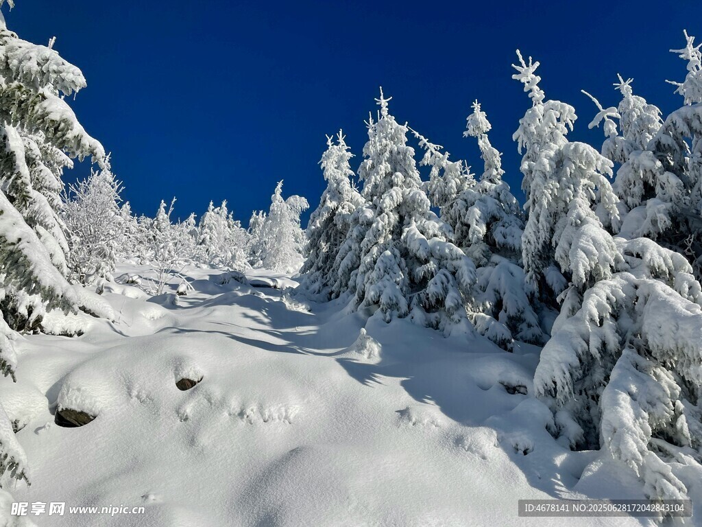 雪覆山林美景
