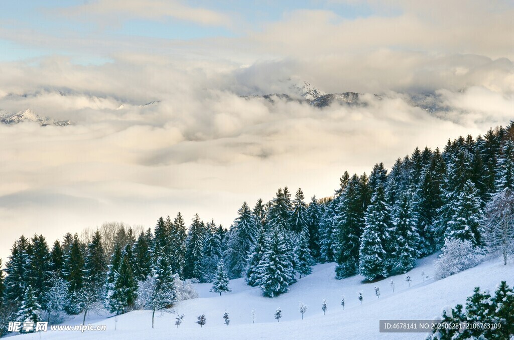雪覆山林云海美景