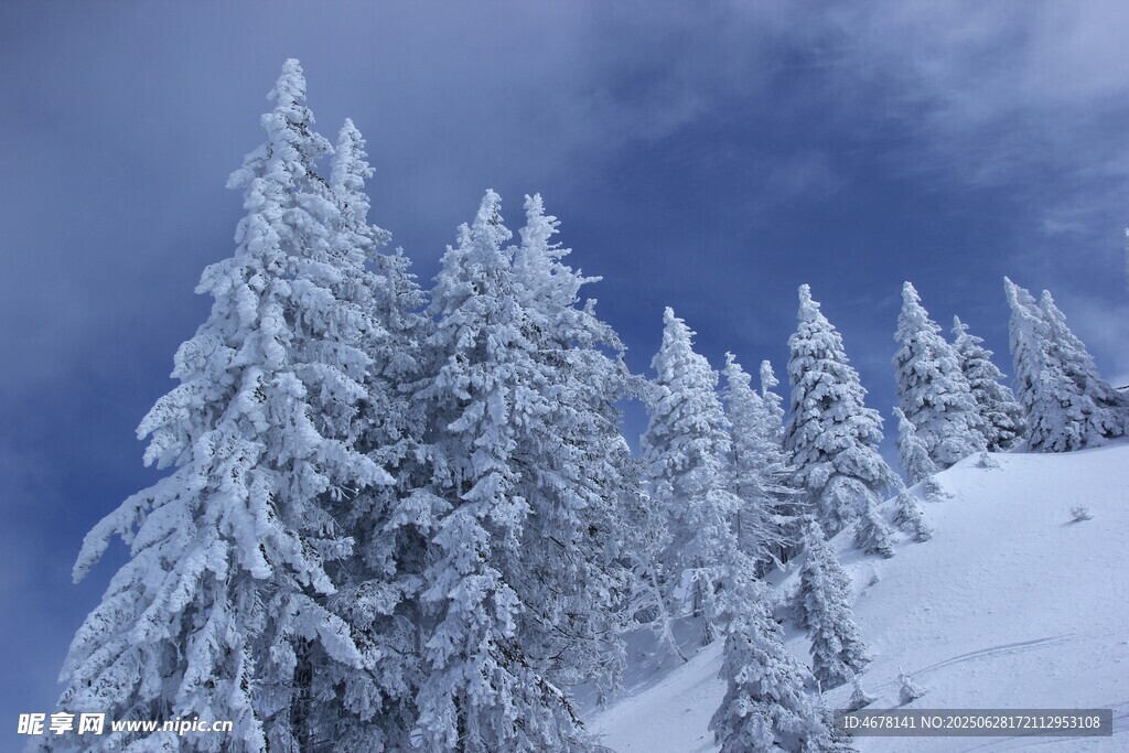 雪覆山林冬日纯净美景