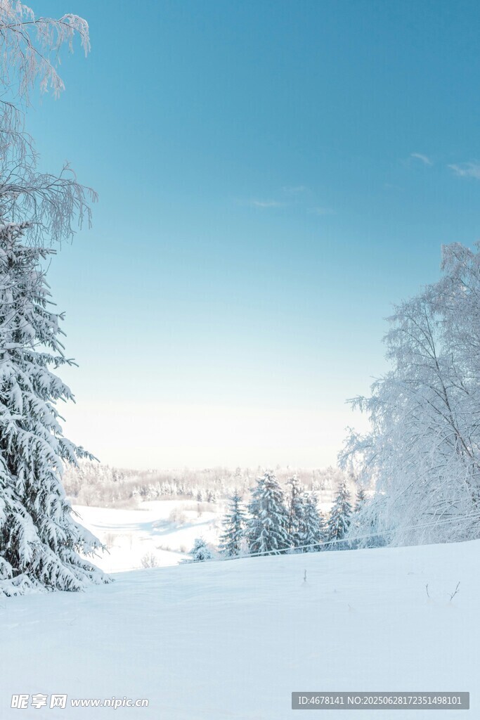 冬日雪景中的静谧山林