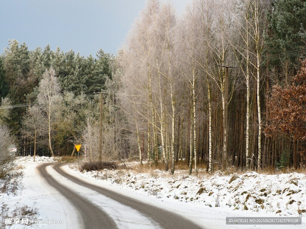 冬日雪覆林间蜿蜒小路