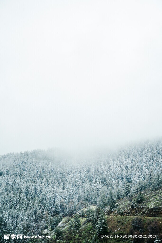雾中雪覆山林美景