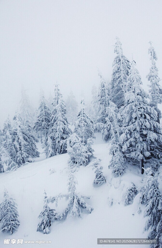 雪覆山林美景