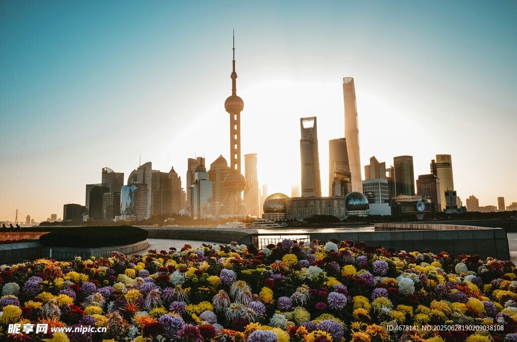 上海城市天际线与绚烂花海