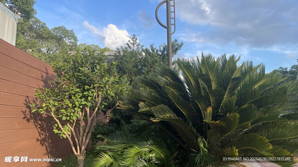 户外绿植景观一角