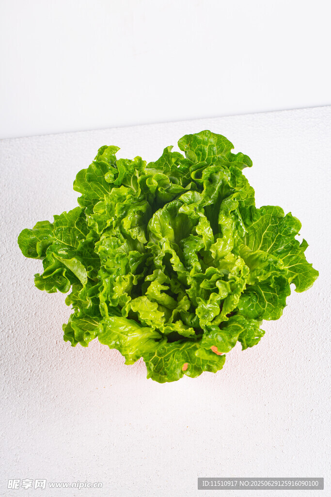 新鲜生菜