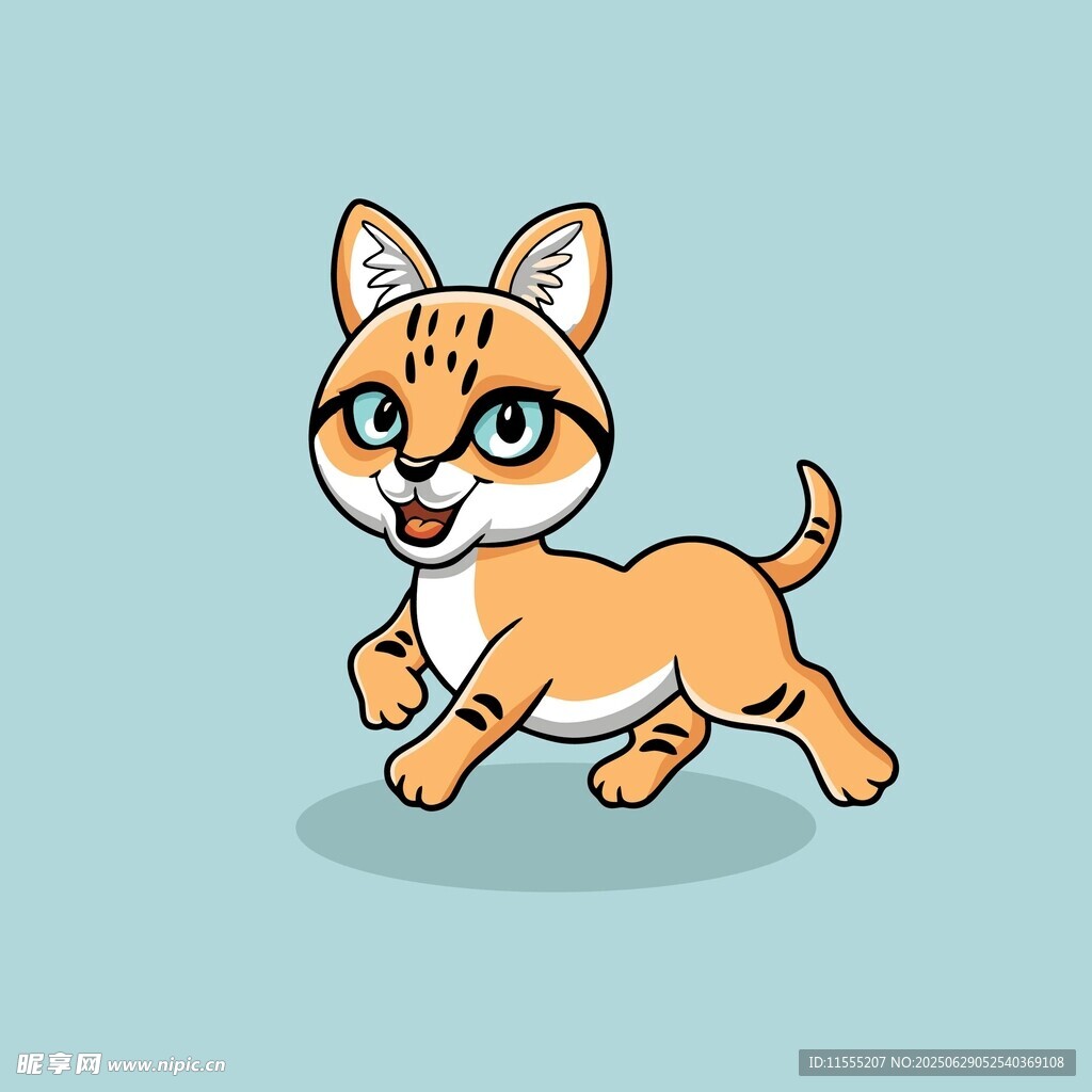 奔跑的可爱小猫咪