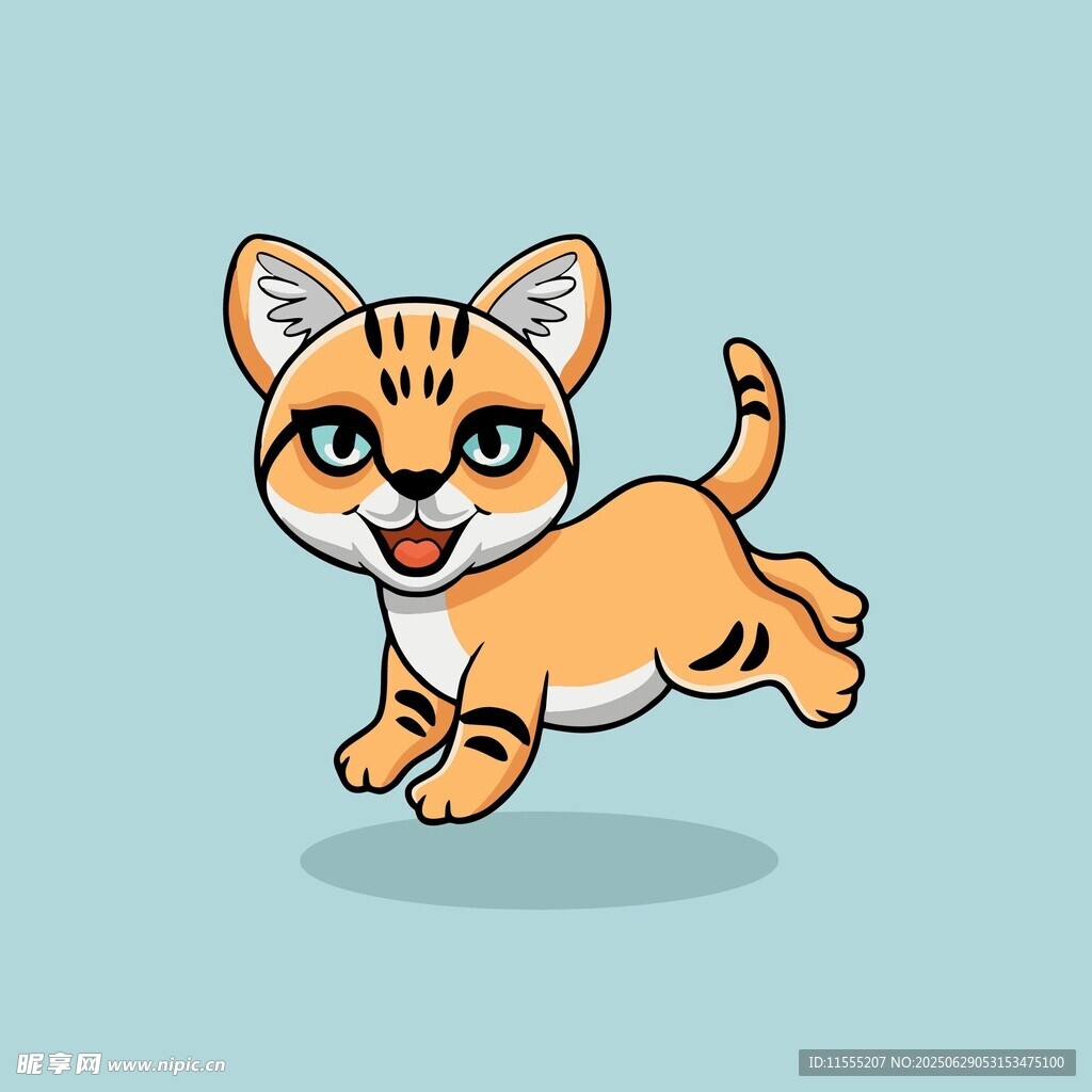 跳跃的可爱小猫咪