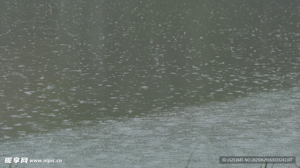 水面雨滴泛起细密涟漪