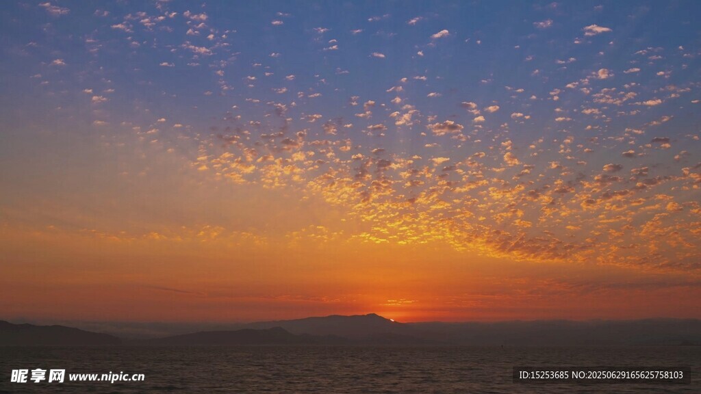 夕阳下飞鸟群舞的壮丽景象