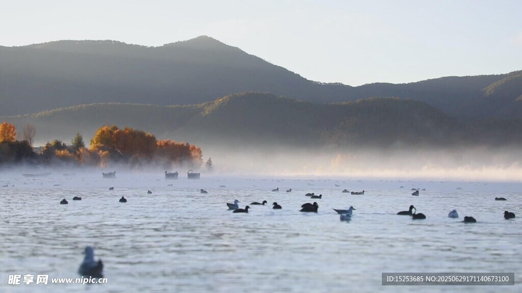 湖畔飞鸟与远山美景