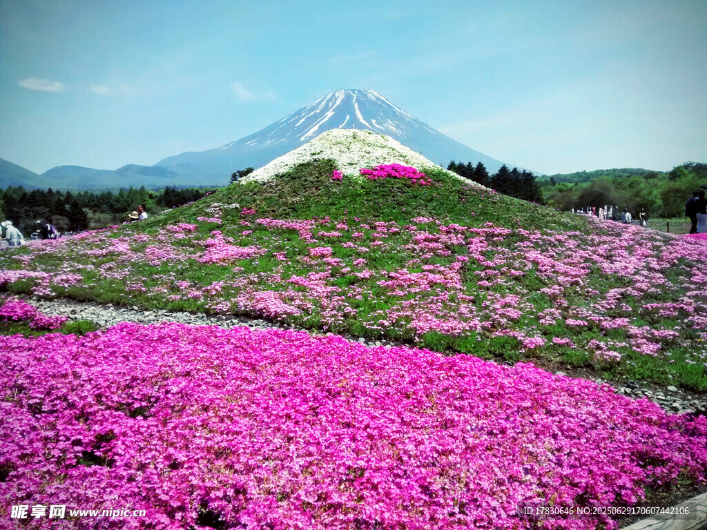 日本富士山照片