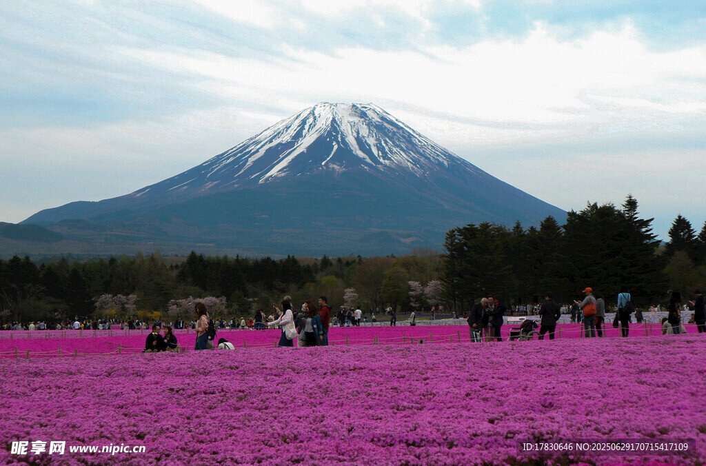 日本富士山照片